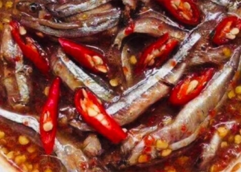 thum 1200x676 13