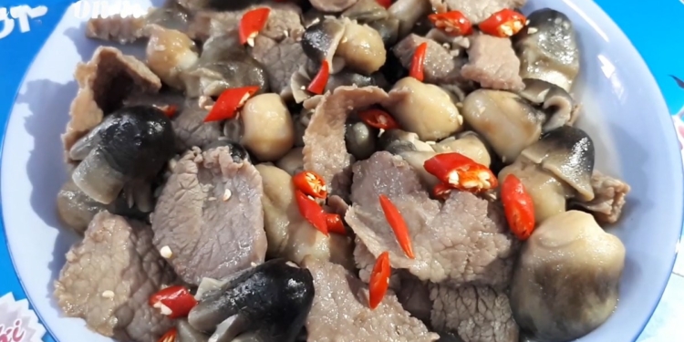 thum 1200x676 26
