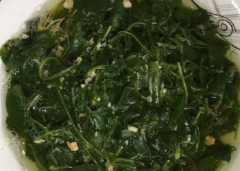 thum1200 1200x676 8