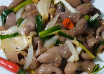 thumb 1200x676 17 1