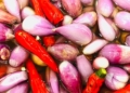thumb1 1200x676 16