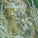 thumb3 1200x676 2