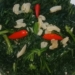 thumb5 1200x676 1