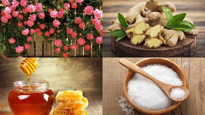 Nguyên liệu món ăn trà hoa hồng