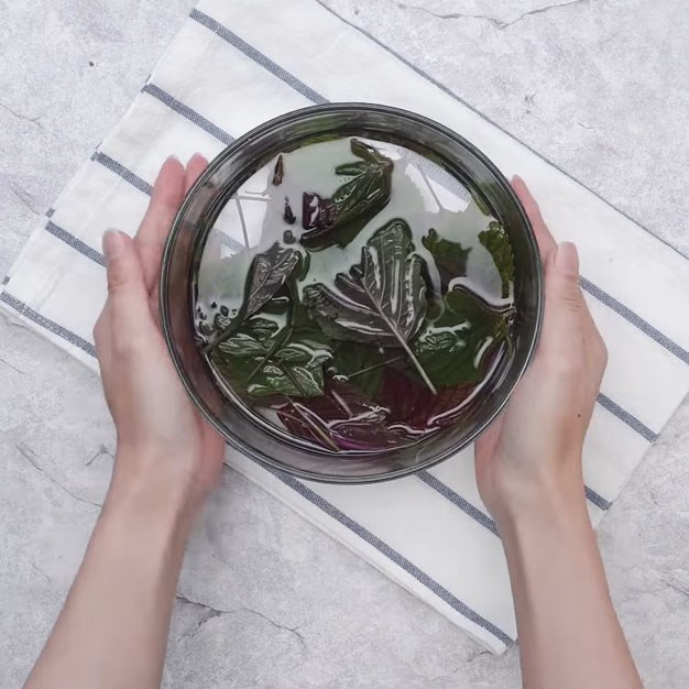 Bước 1 Sơ chế lá tía tô Trà tía tô mật ong