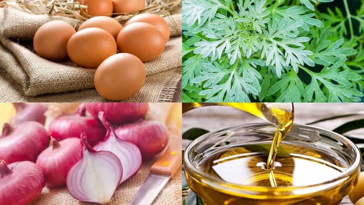 Nguyên liệu món ăn 3 cách làm trứng chiên lá lốt, lá mơ, ngải cứu
