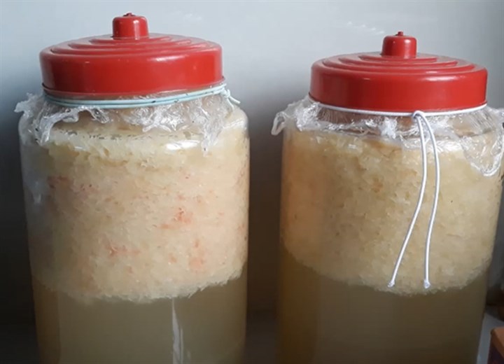 Bước 3 Ủ rượu bưởi Cách làm rượu bưởi