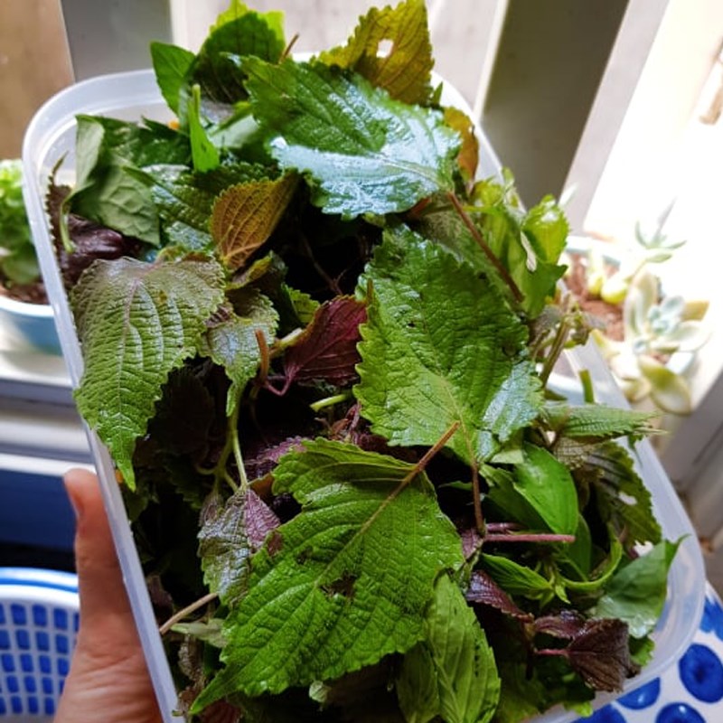 Bước 1 Sơ chế các nguyên liệu Bánh xèo tôm thịt (công thức được chia sẻ từ người dùng)