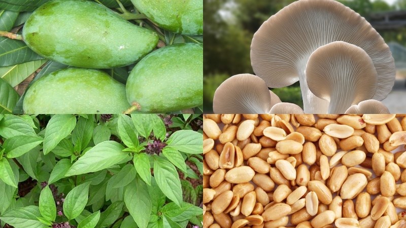 Nguyên liệu món ăn 5 cách làm gỏi xoài chay